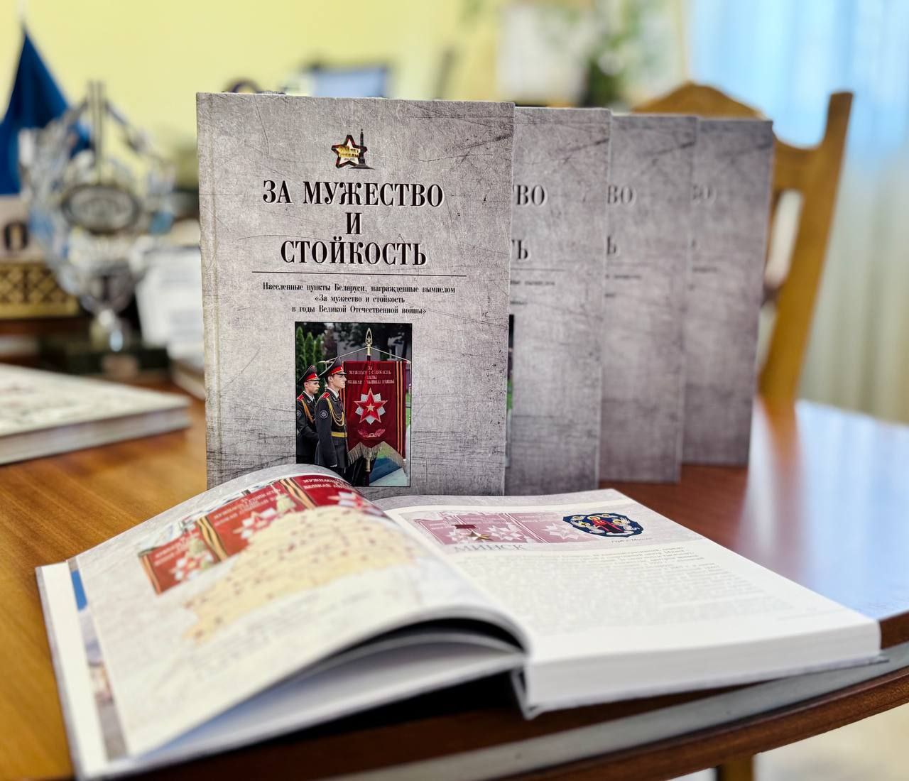 Издана книга Института истории НАН Беларуси "За мужество и стойкость. Населенные пункты Беларуси, награжденные вымпелом "За мужество и стойкость в годы Великой Отечественной войны"